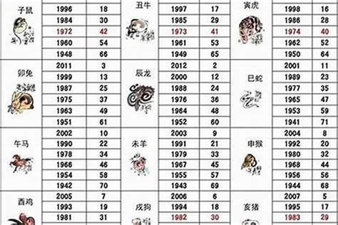 1993屬|1993年1月出生属什么生肖